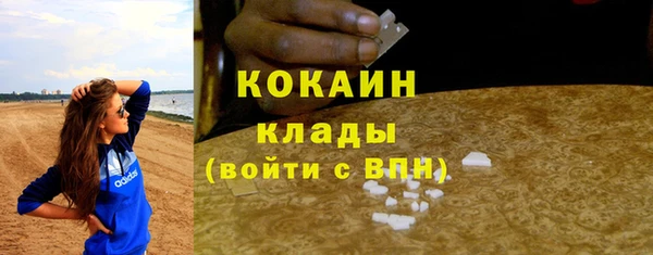 МДПВ Богородицк