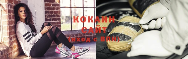 прущий лед Богданович