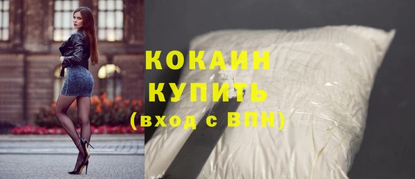 прущий лед Богданович