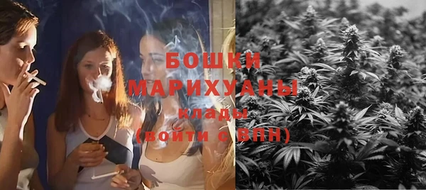 МДПВ Богородицк