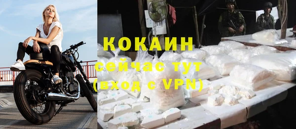 молекула духа Белоозёрский