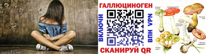 магазин продажи   Шахунья  Псилоцибиновые грибы Cubensis 