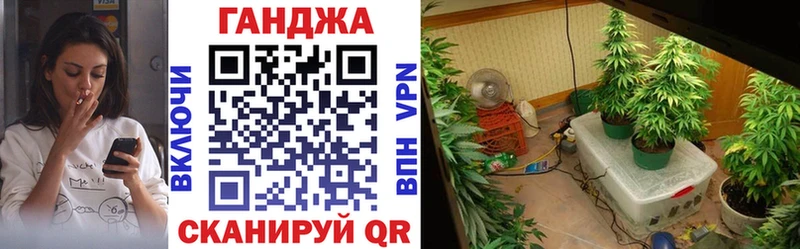 KRAKEN ТОР  Шахунья  МАРИХУАНА гибрид 